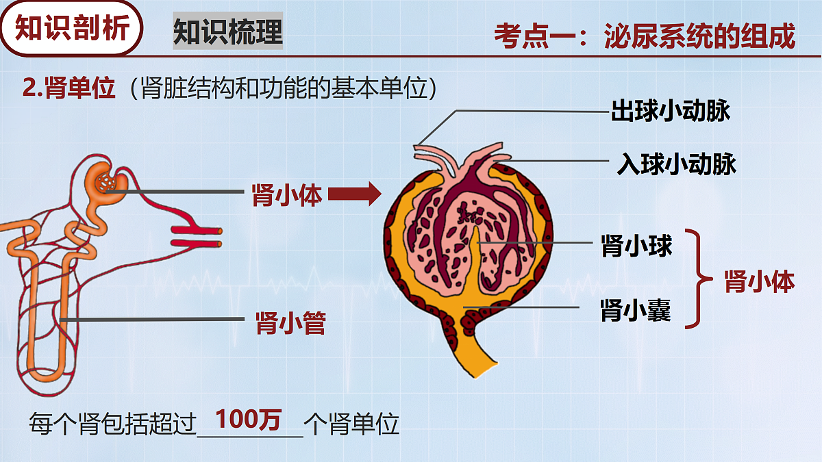 18165030第6页