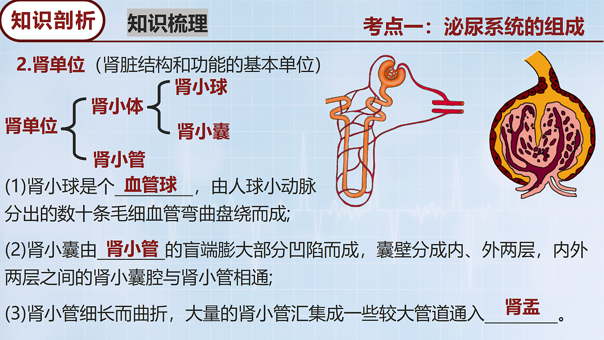 18165030第7页