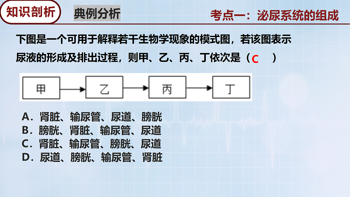 18165030第8页