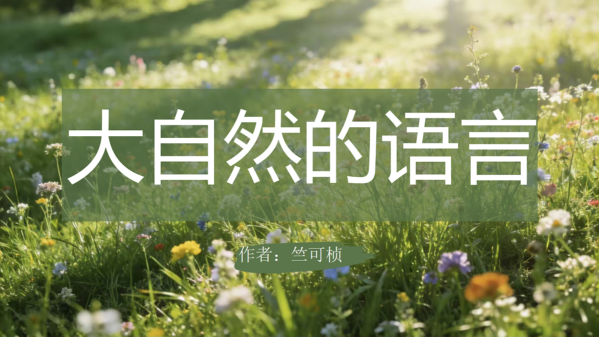 18165186第1页