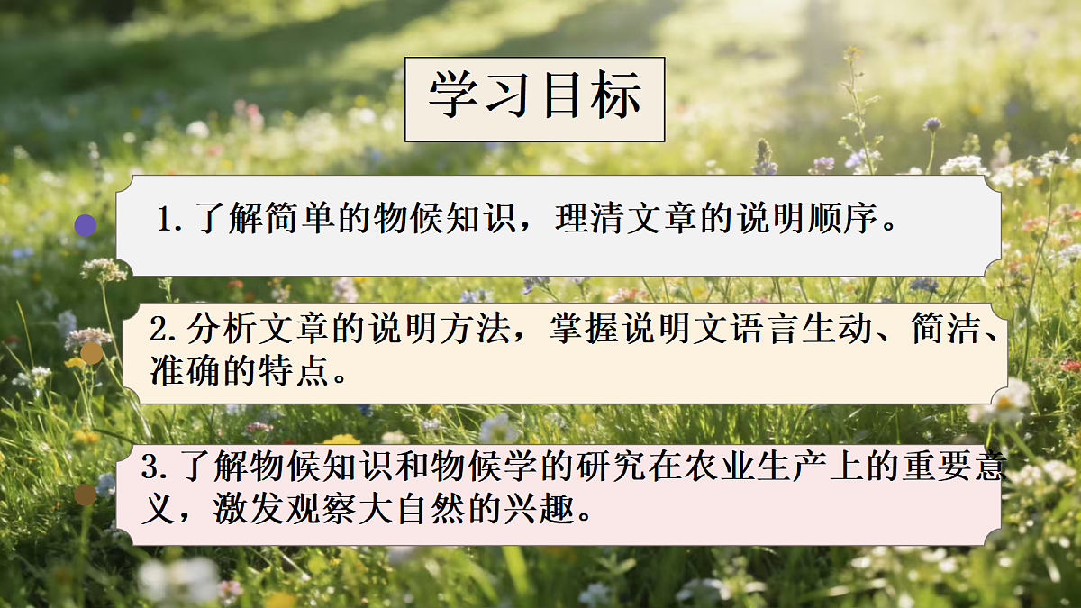 18165186第2页