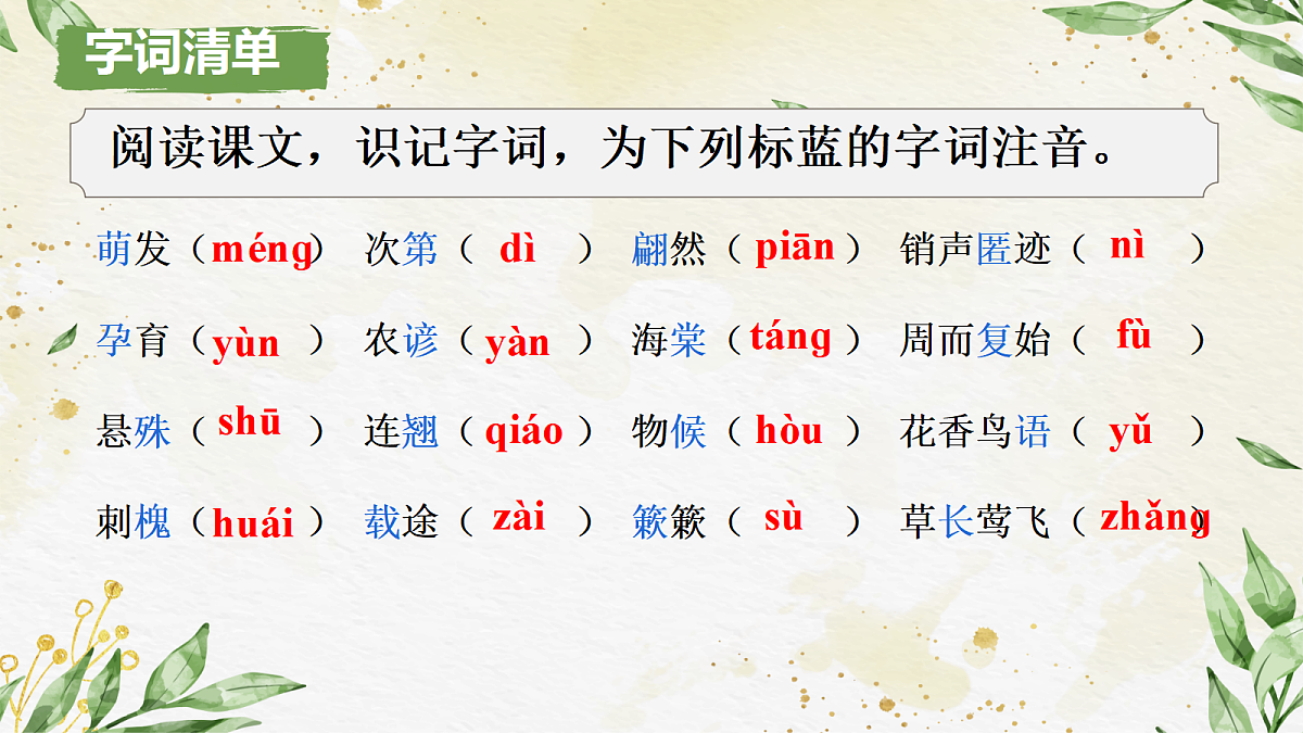 18165186第5页