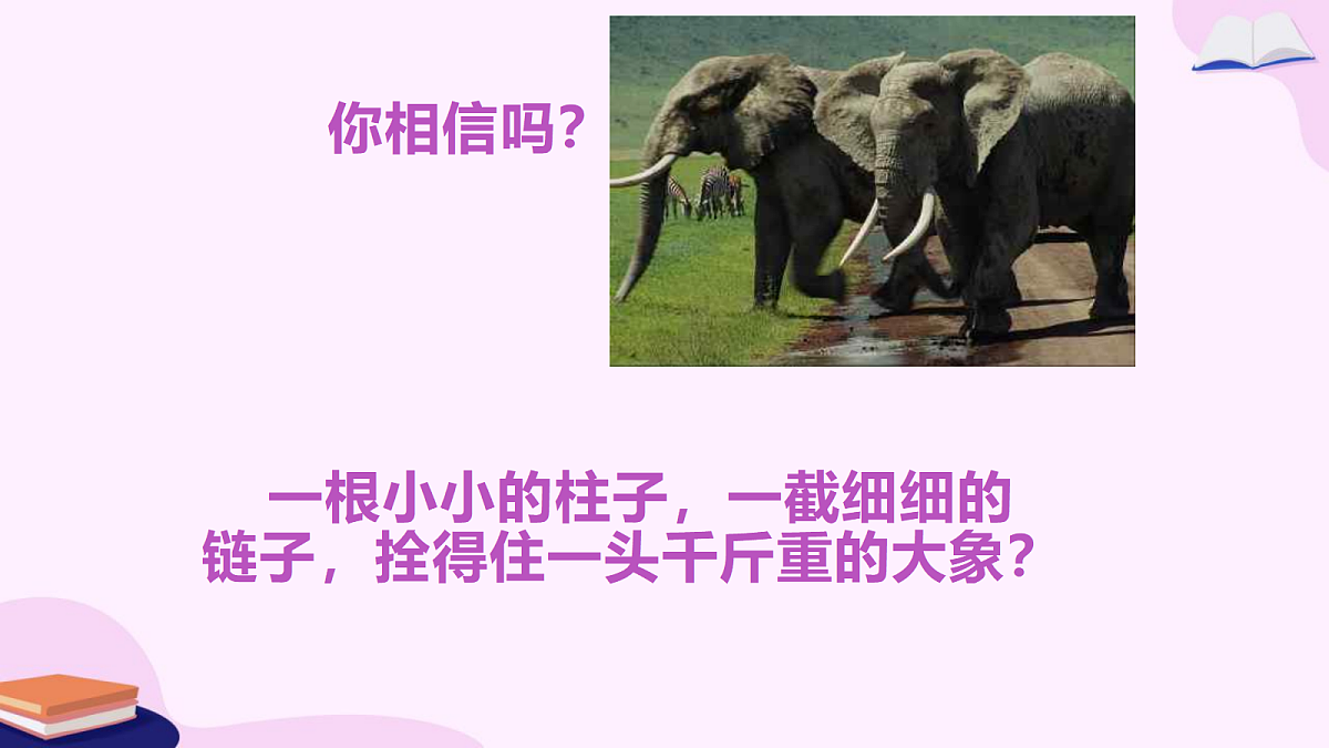 18166782第3页