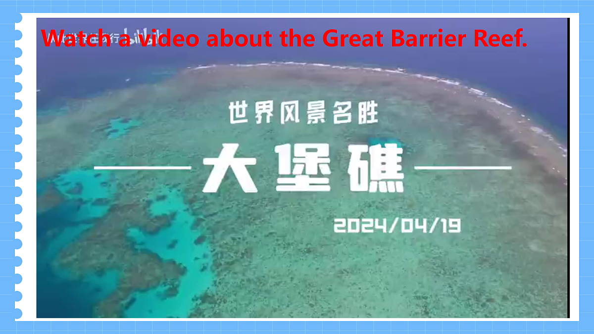 18167666第6页