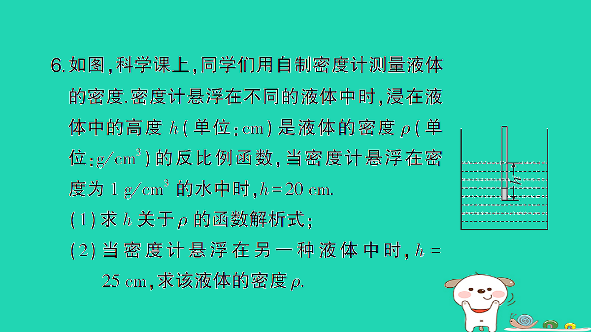 18167707第7页