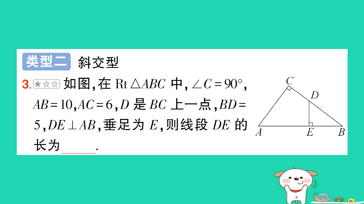 18167712第7页