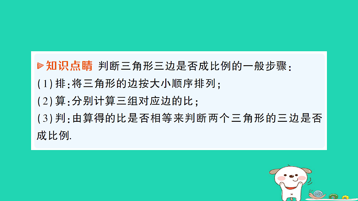 18167714第3页
