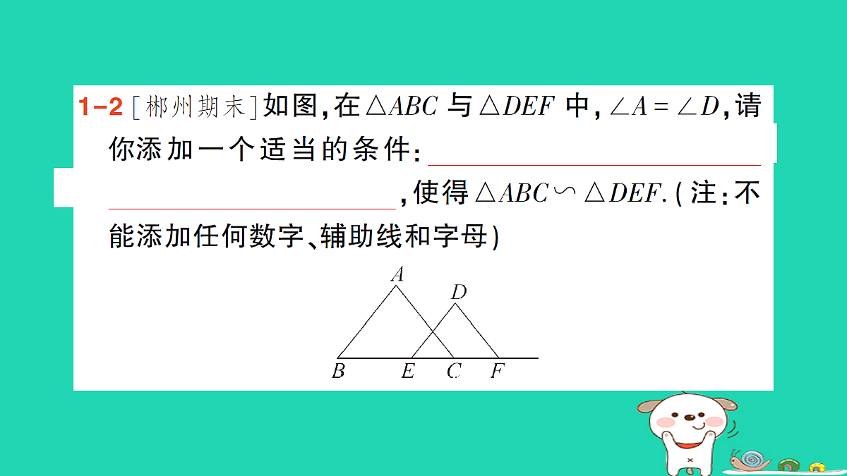 18167716第5页
