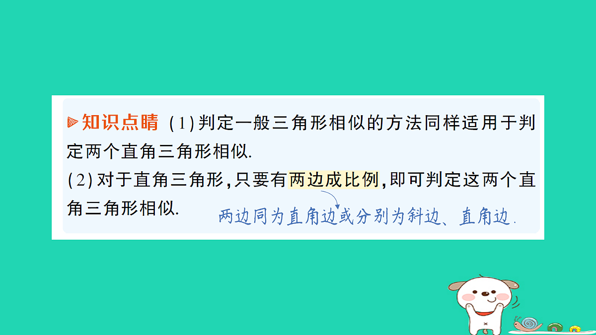 18167716第7页