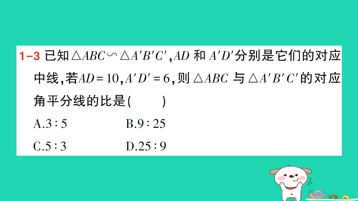 18167717第5页