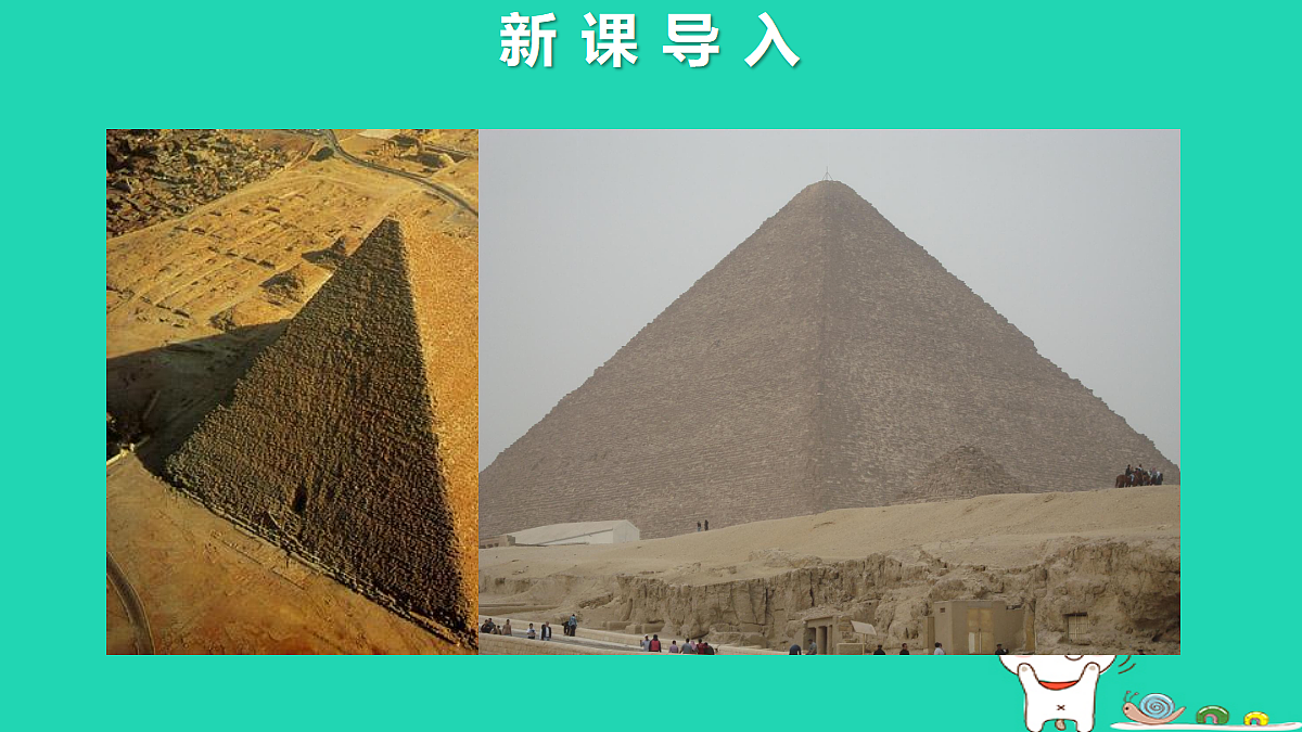 18167719第2页