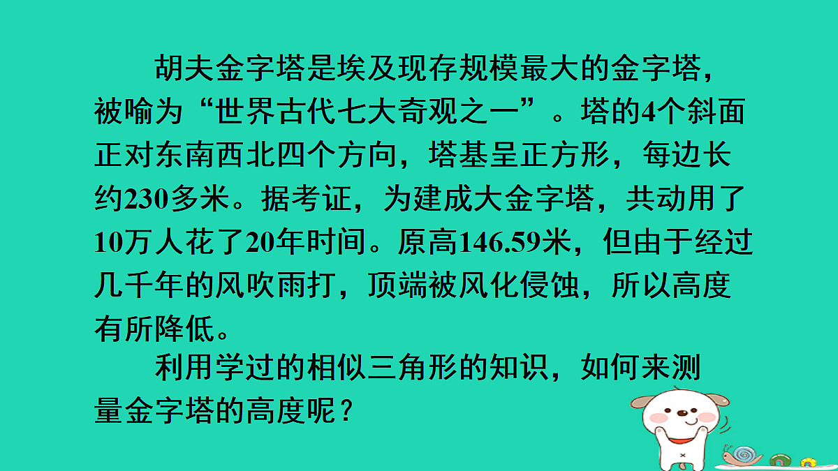 18167719第3页