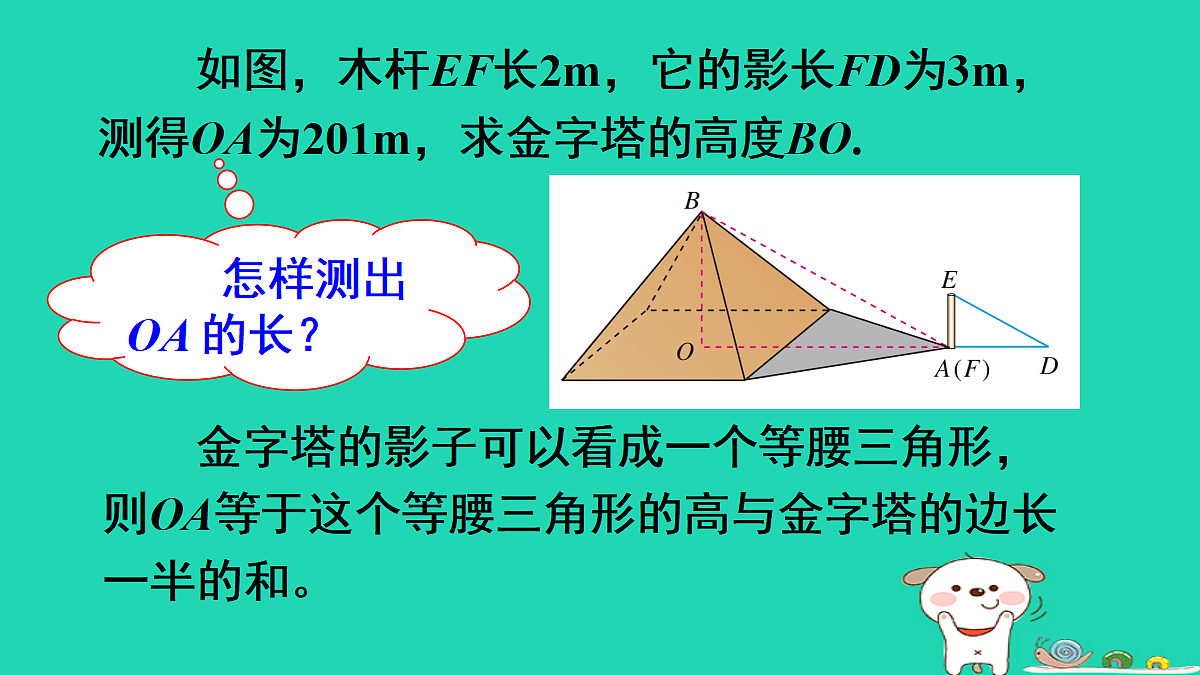 18167719第5页
