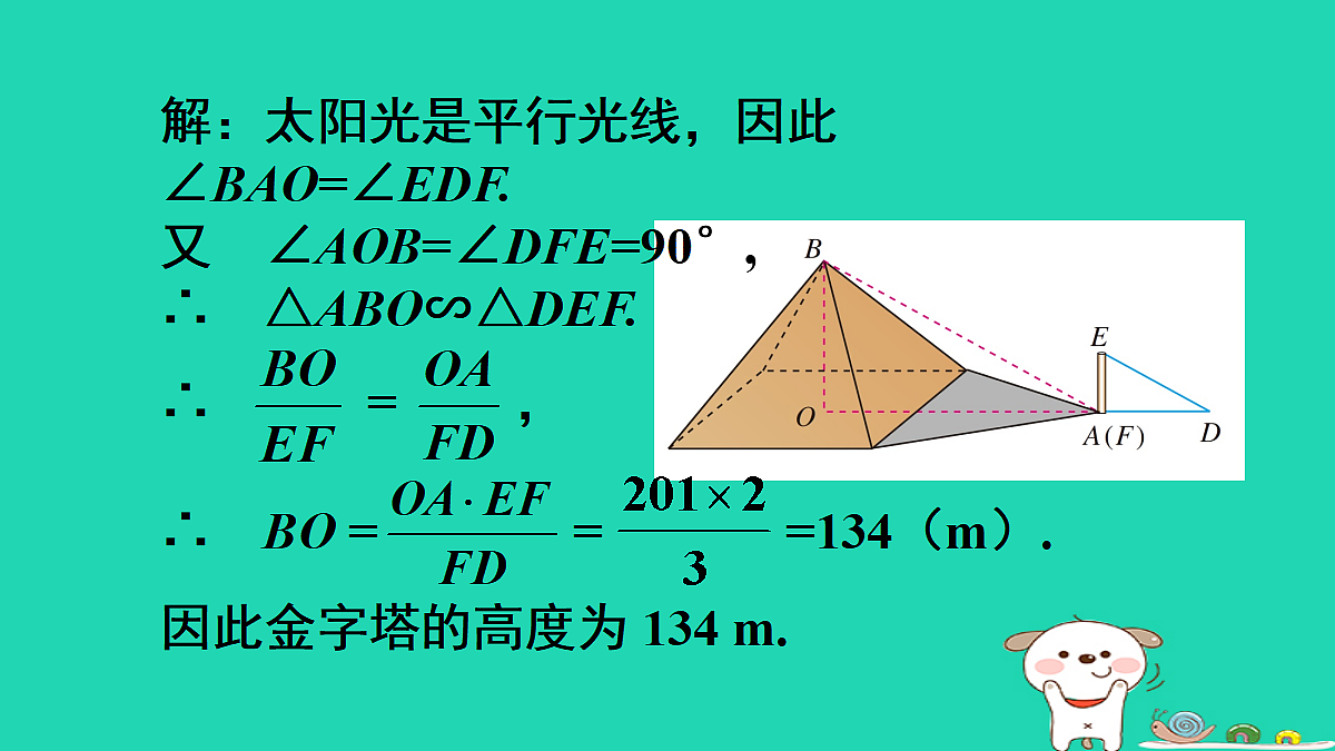 18167719第6页