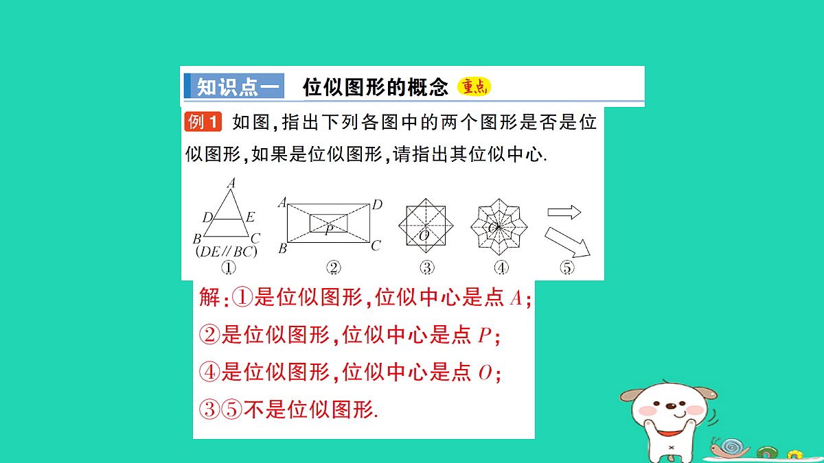 18167721第2页
