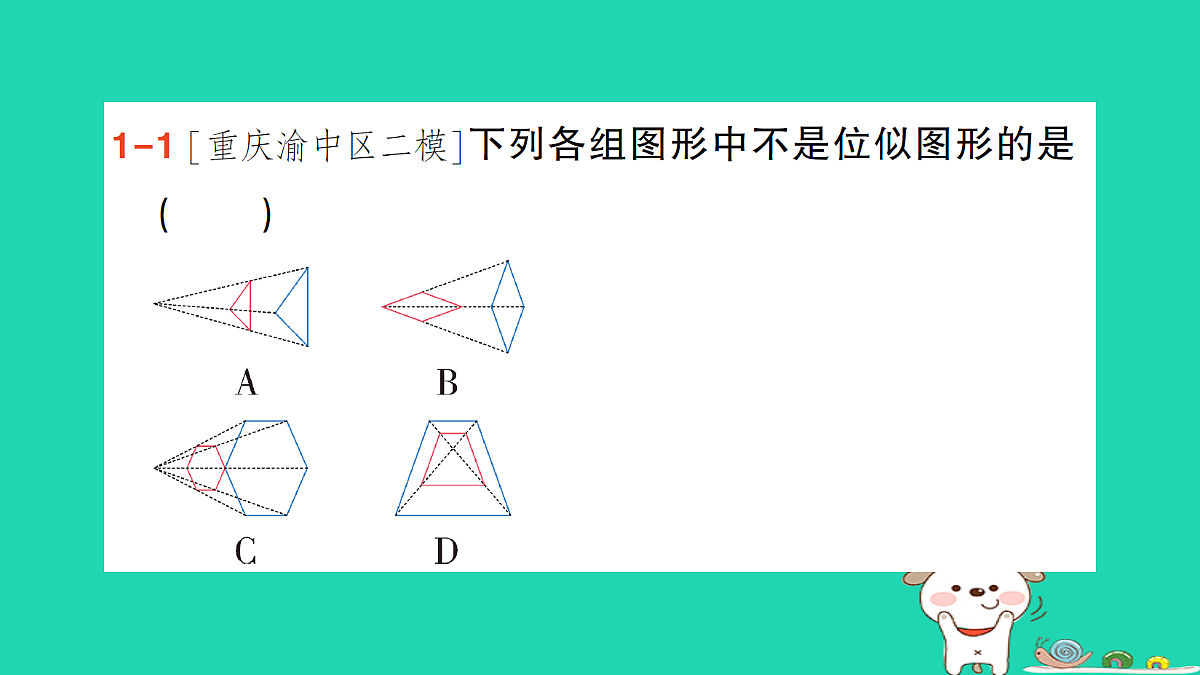 18167721第4页