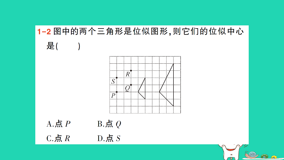 18167721第5页