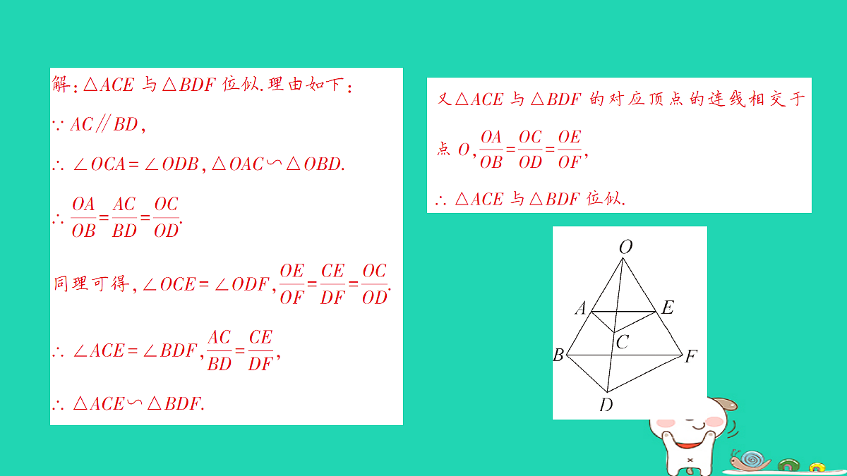 18167721第7页