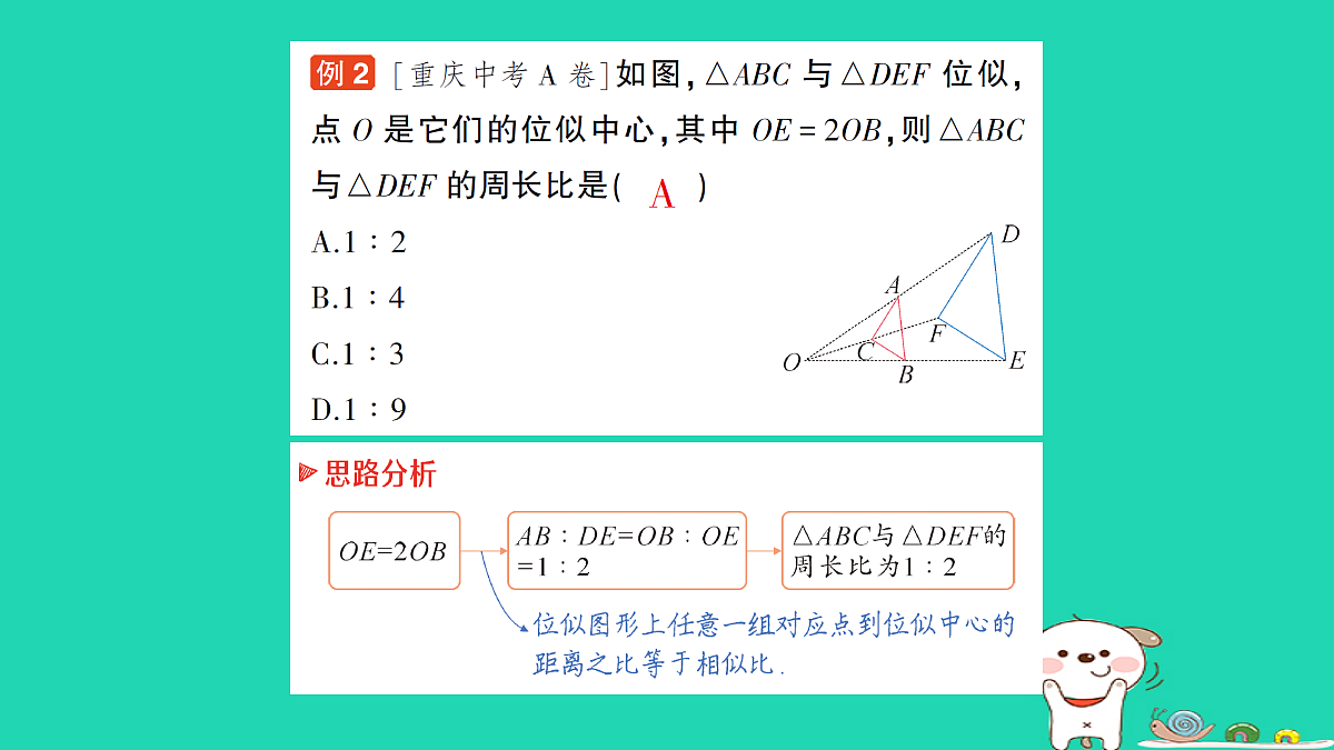 18167721第8页