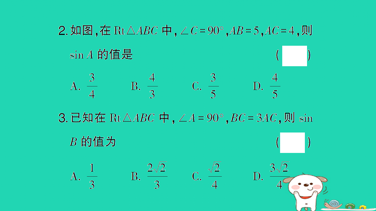 18167723第3页