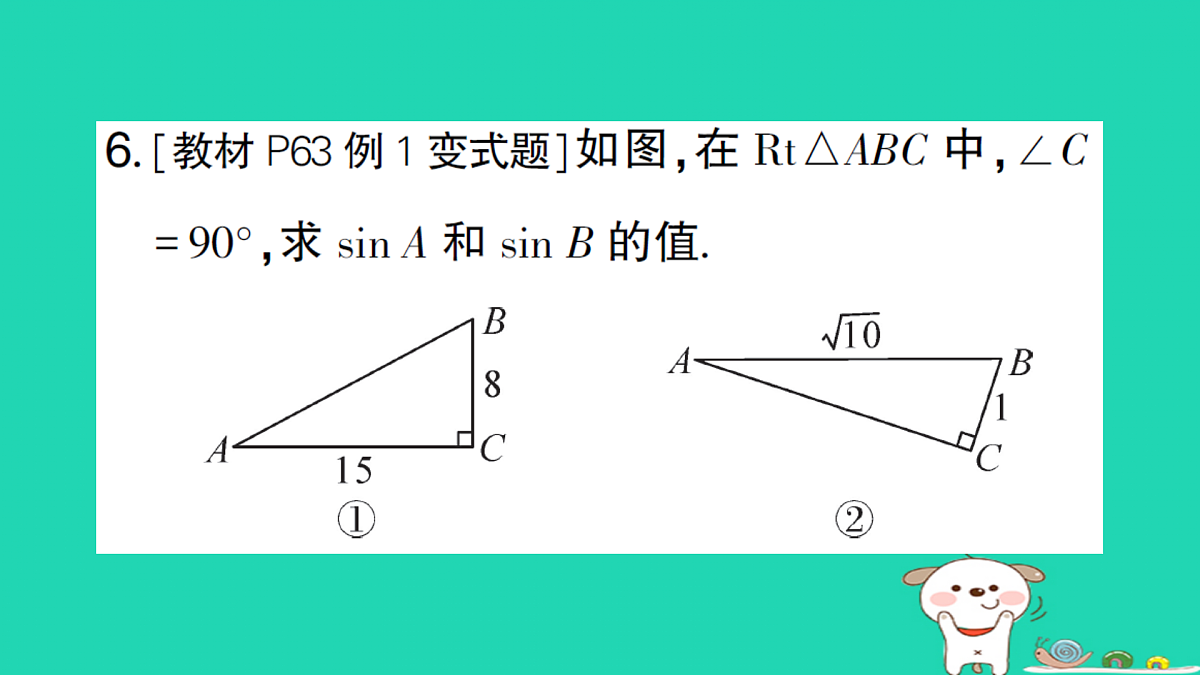 18167723第6页