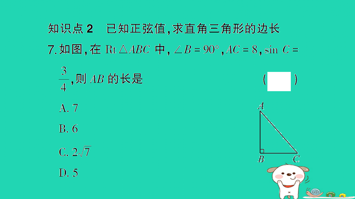 18167723第8页
