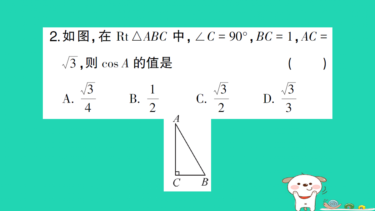 18167725第3页