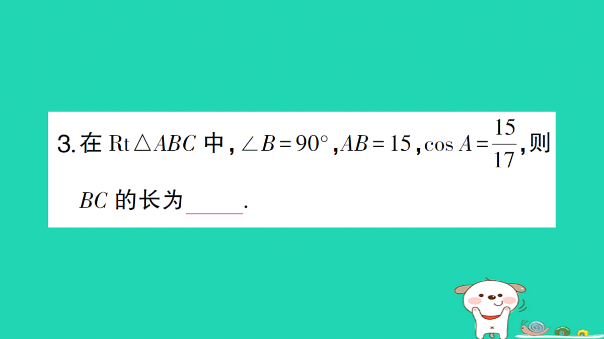 18167725第4页