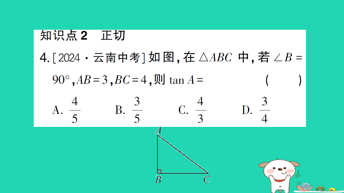 18167725第5页