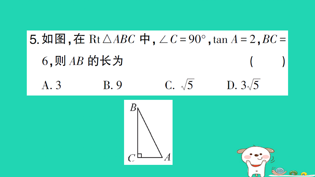 18167725第6页
