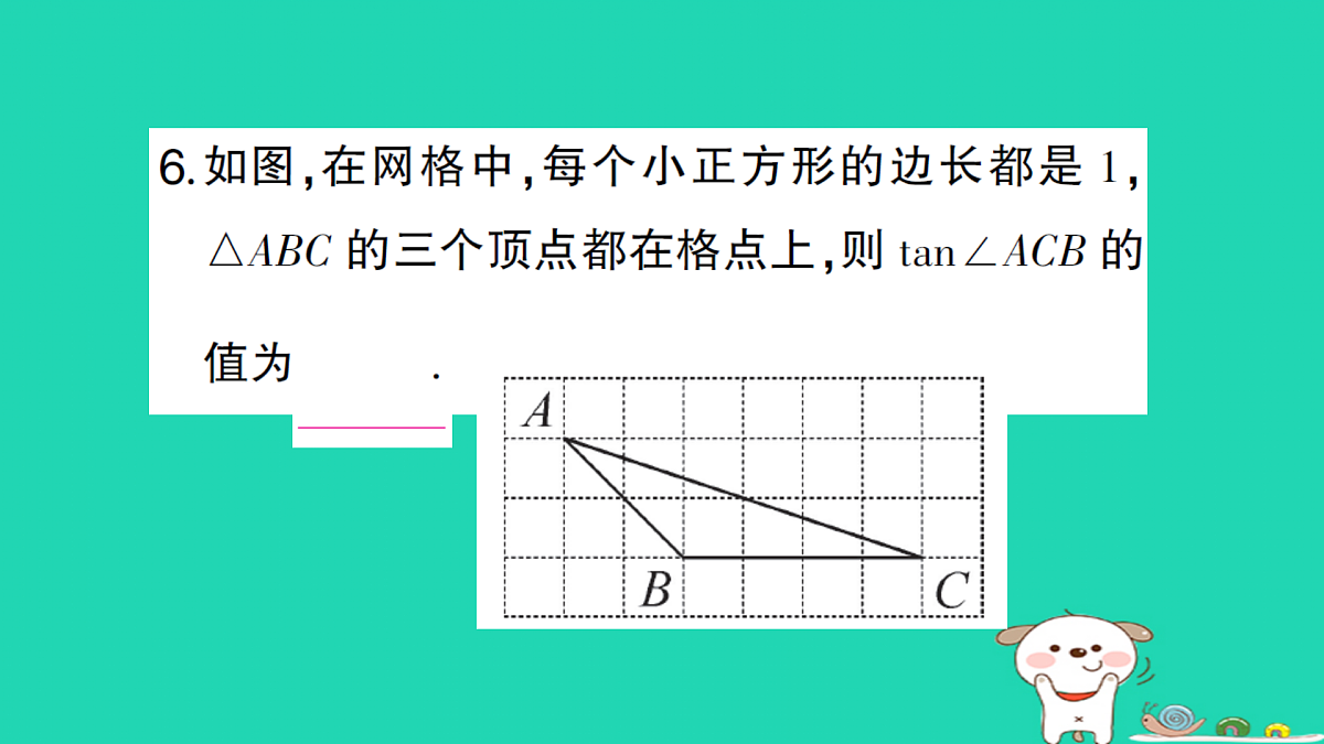 18167725第7页