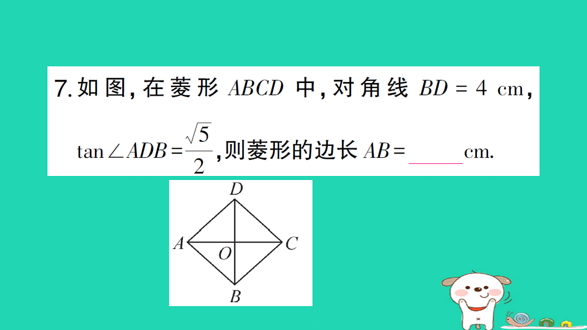 18167725第8页