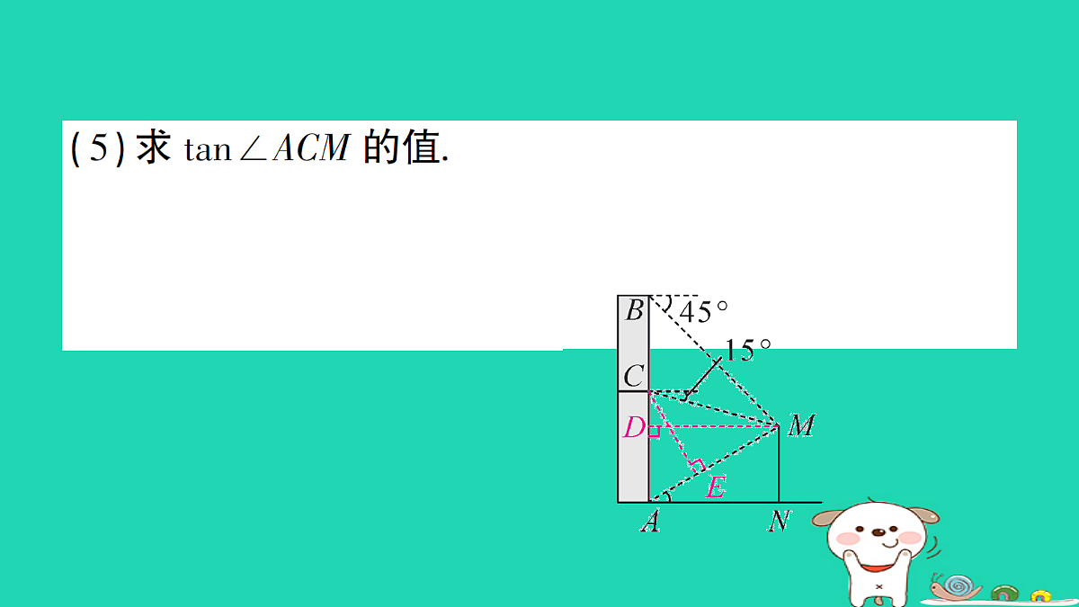 18167729第7页