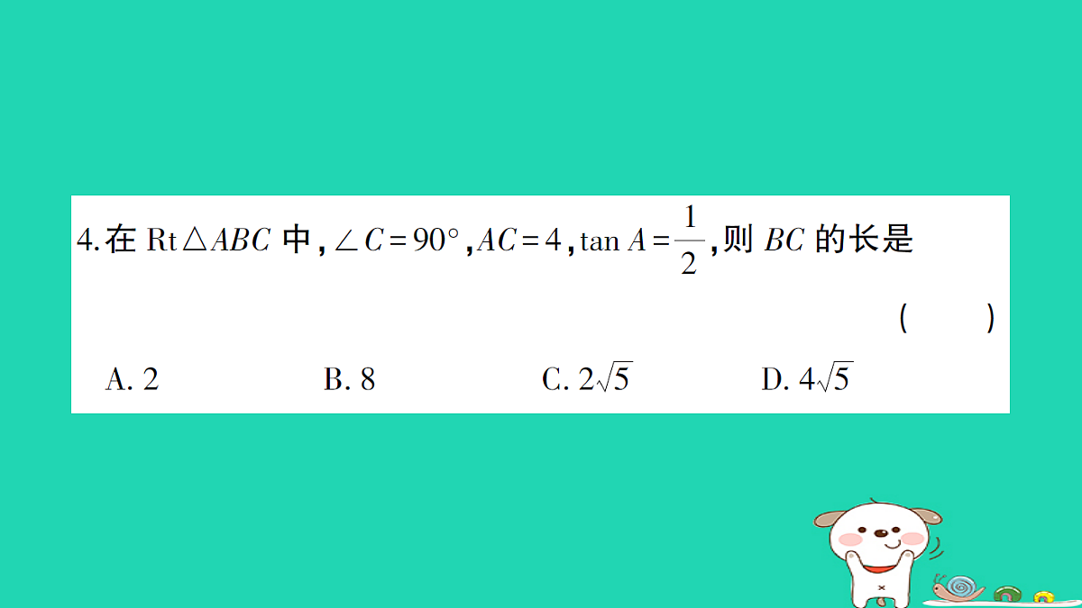 18167731第5页