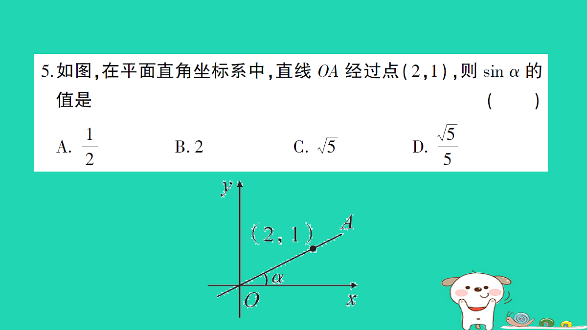 18167731第6页
