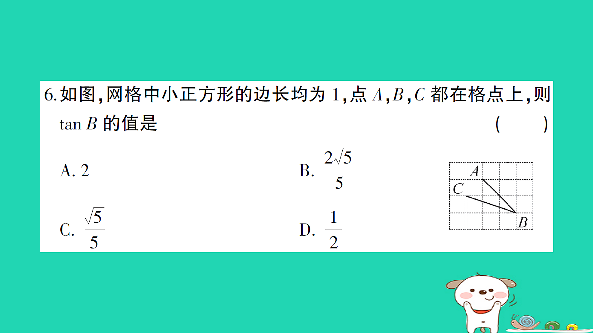 18167731第7页