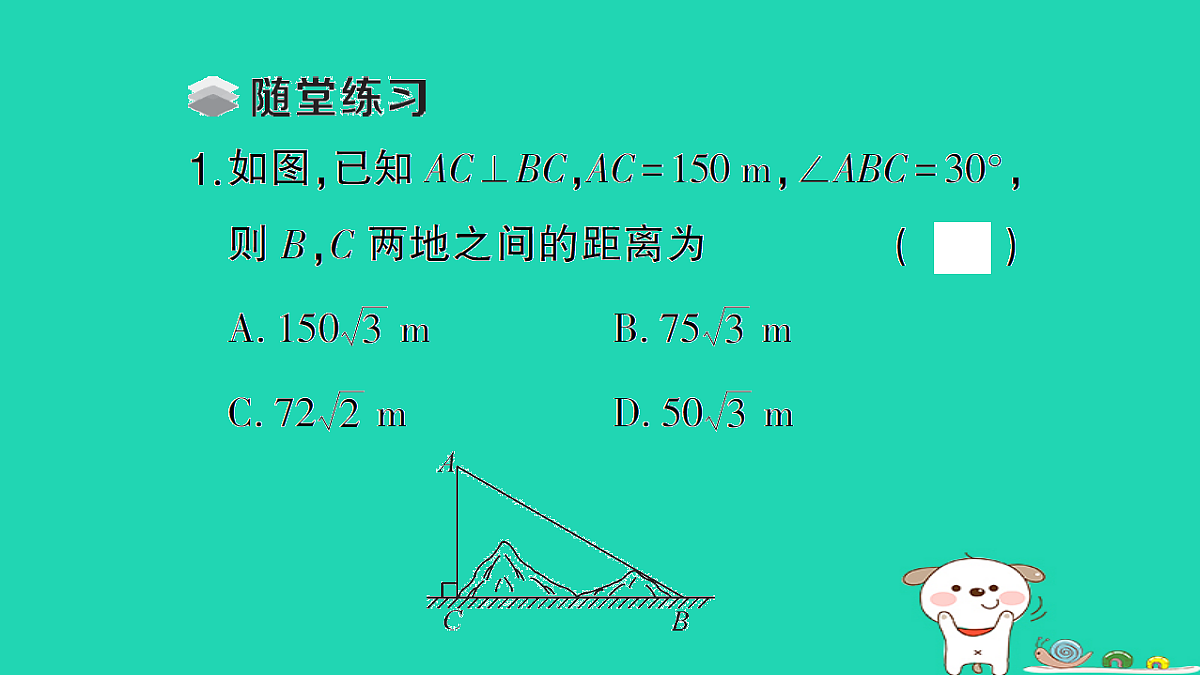 18167732第3页