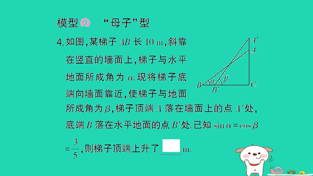 18167735第7页