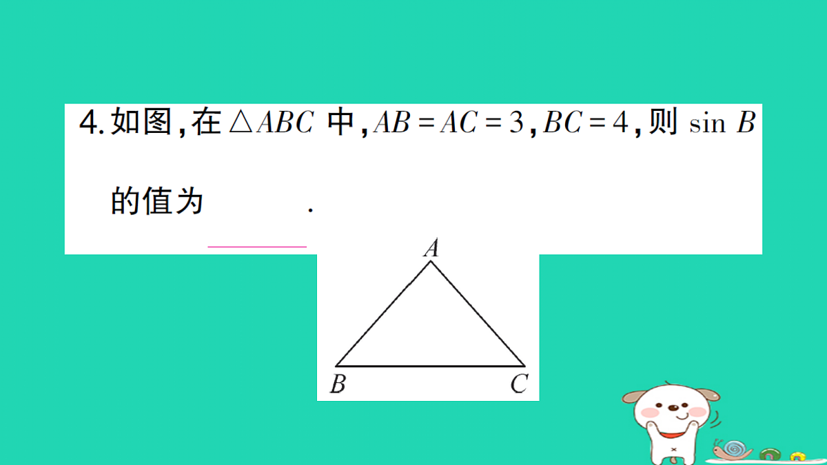 18167737第5页