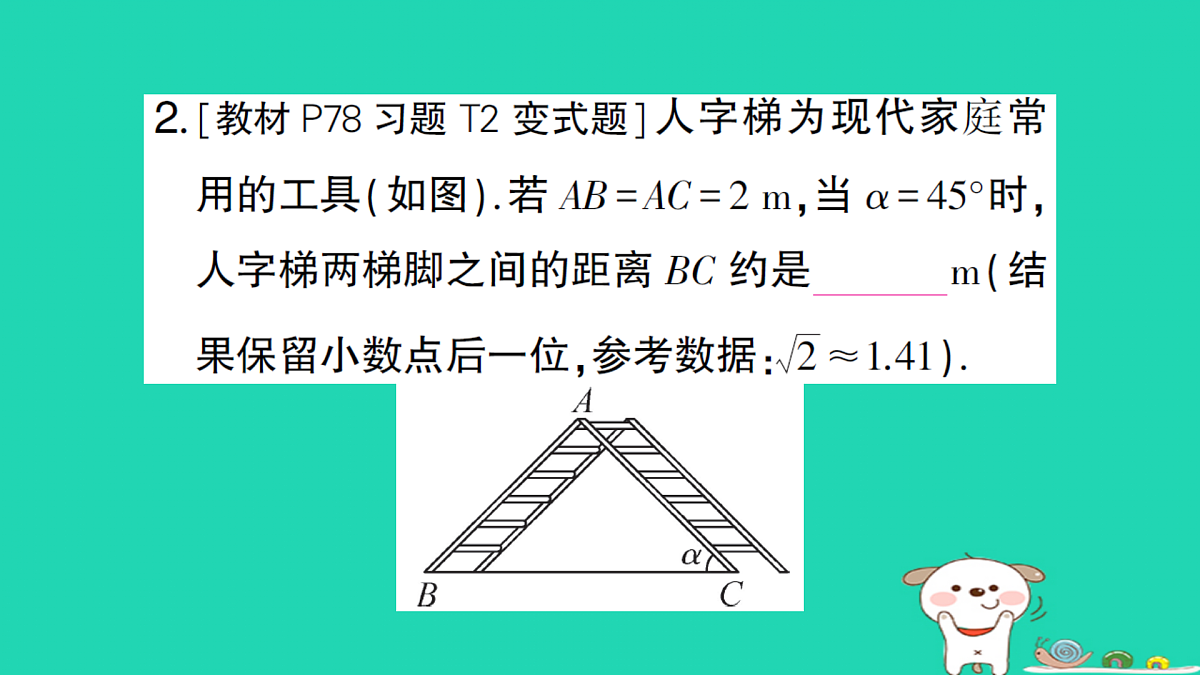 18167740第3页
