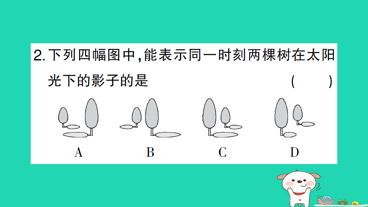 18167741第3页