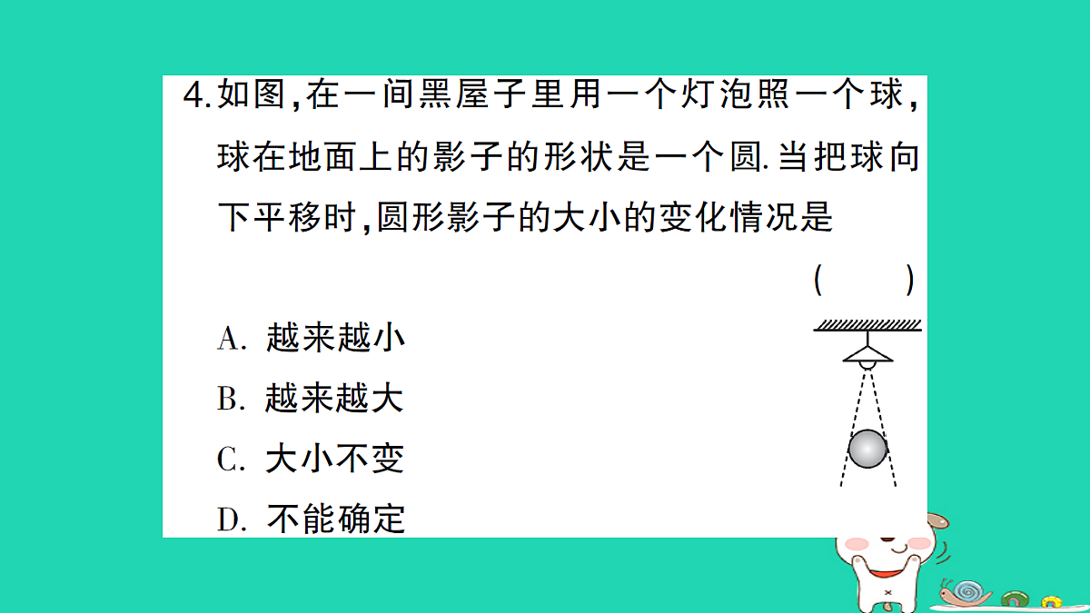 18167741第5页
