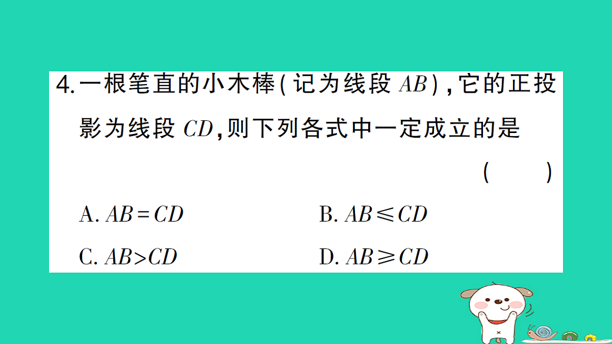 18167743第5页