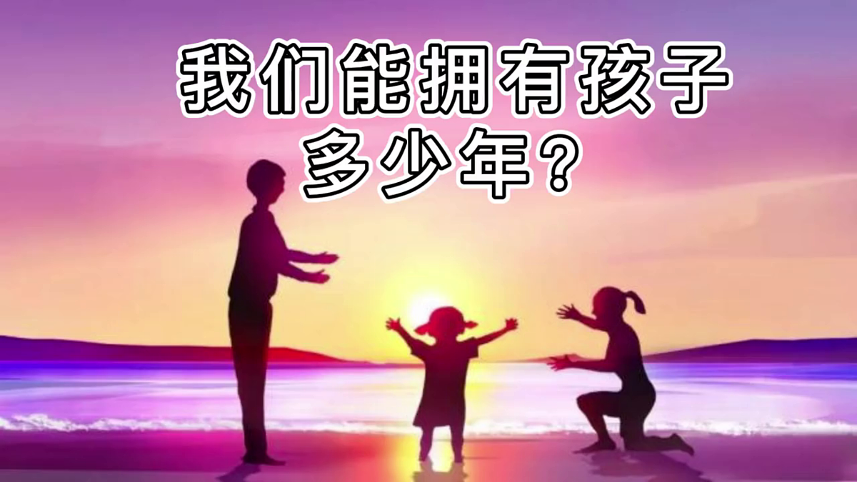 18168443第2页