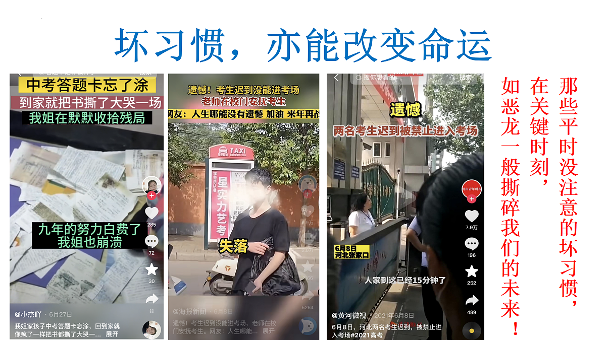 18168446第8页