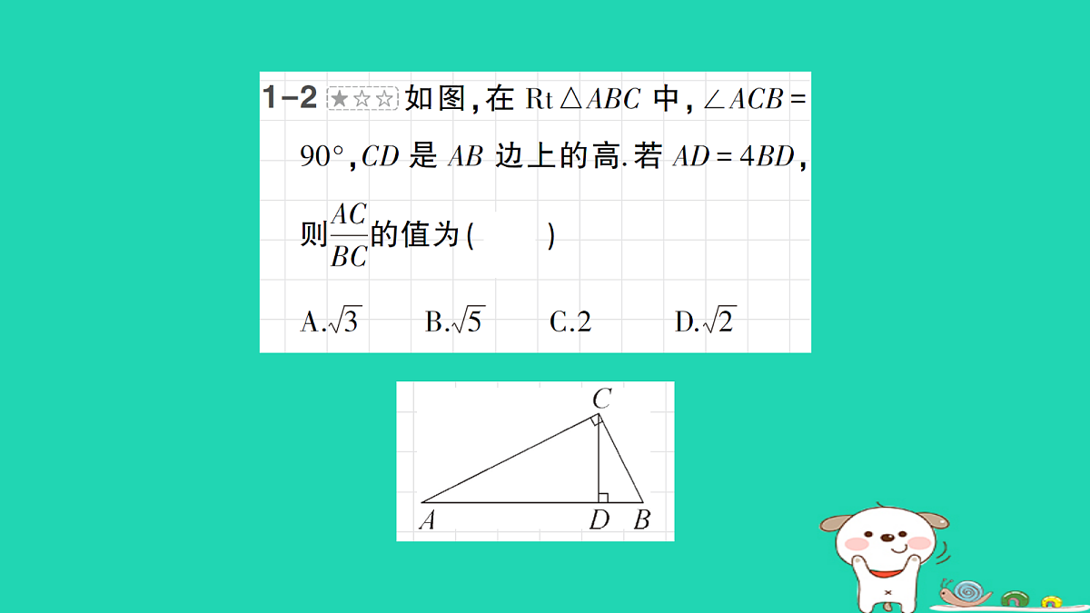 18168543第8页