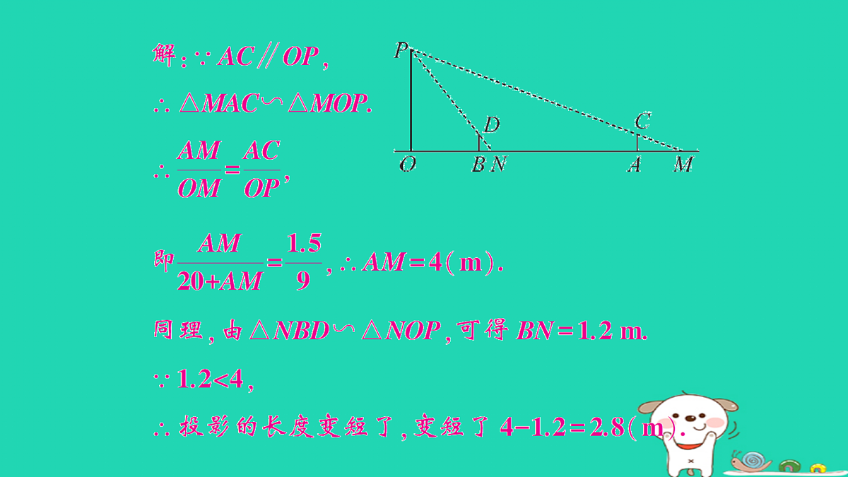 18168546第5页