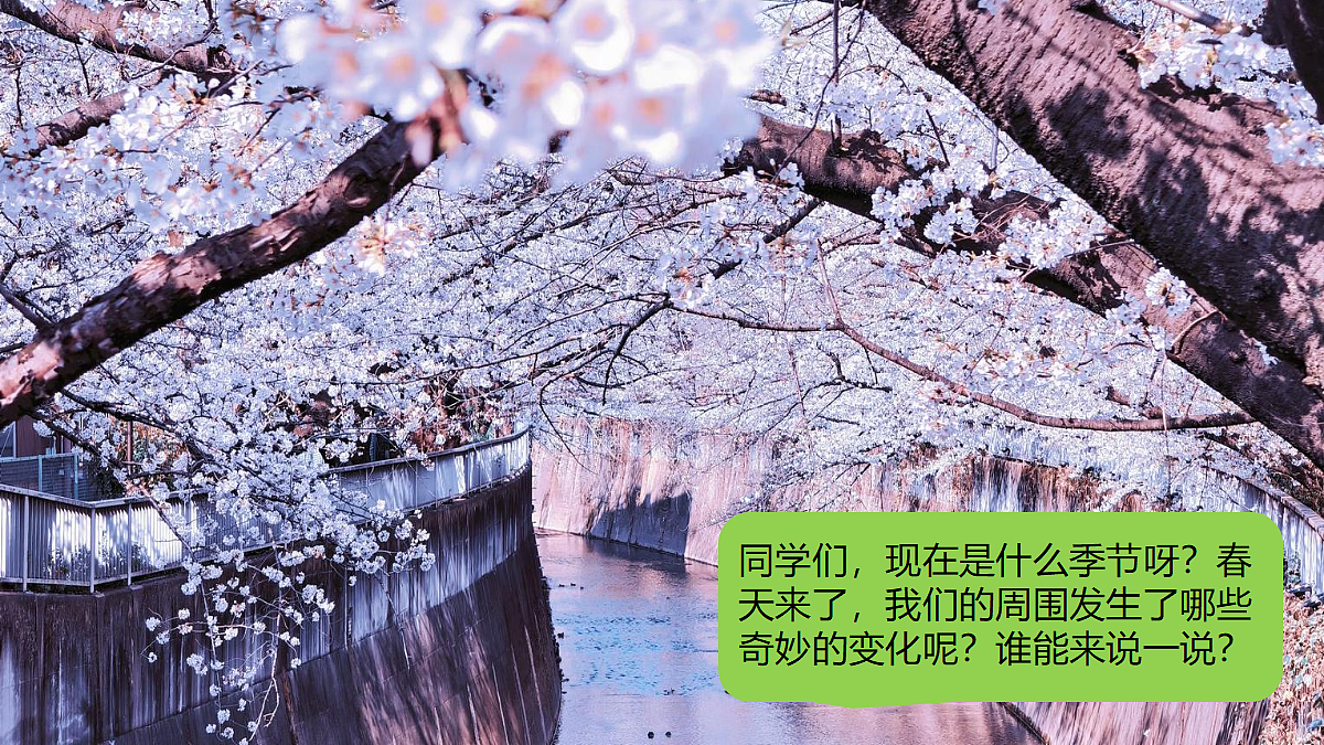 【新教材】人音3下《嘀哩嘀哩》课件第4页