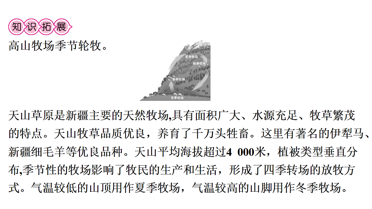 18170143第3页