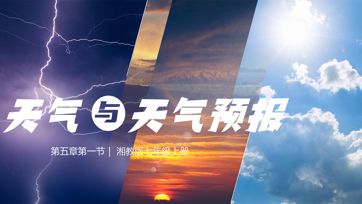 18170294第2页